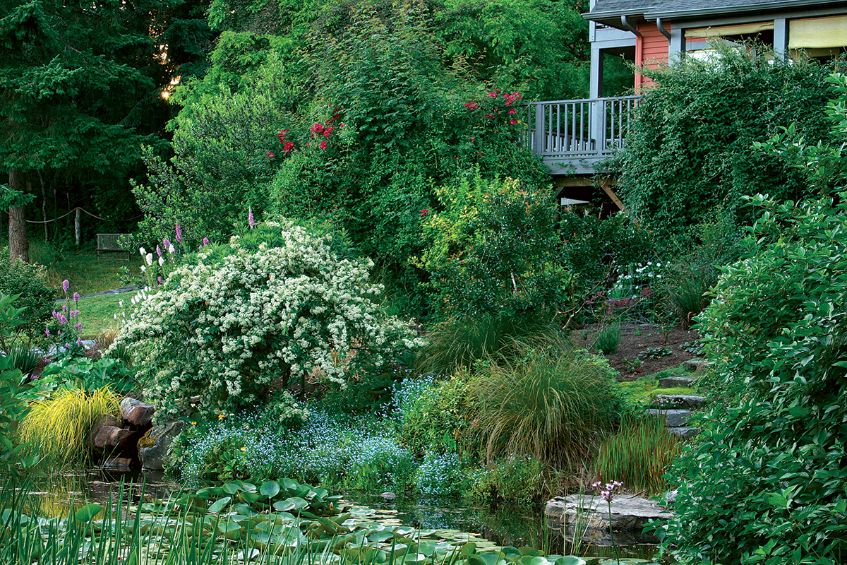 Wildlife Gardening: Creating a Haven for Nature in Your Backyard